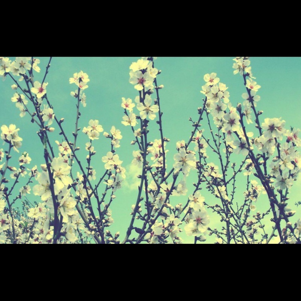 Meet your Posher, Kristina